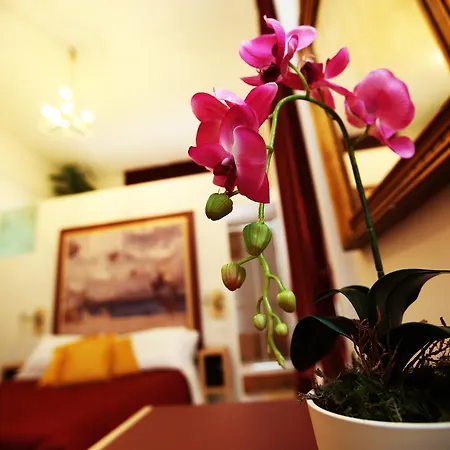 La Bella Bed and Breakfast