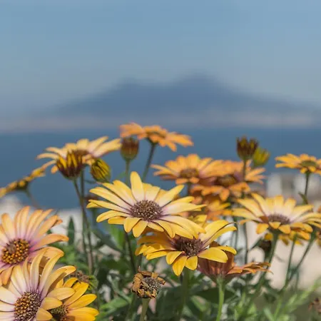 110° _ Sud Napoli