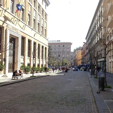 Domus Municipio