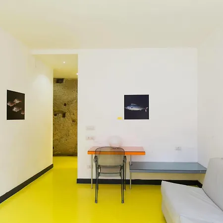 Correra 241 Lifestyle 3*