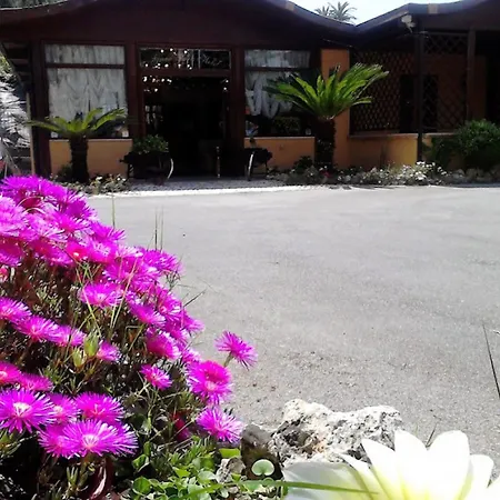 Hotel Federico Ii 3*
