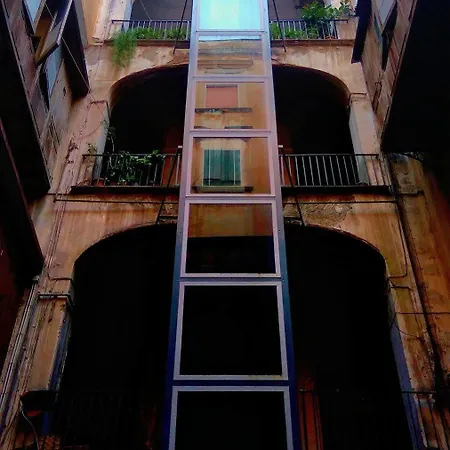 Cerasiello Napoli