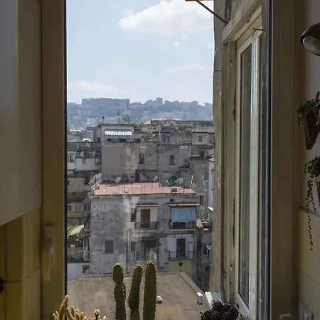 Cerasiello Napoli
