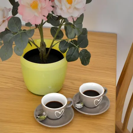 Bed & Breakfast La Dell'arte-museo *