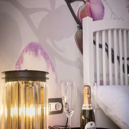 Bed Boutique Colors