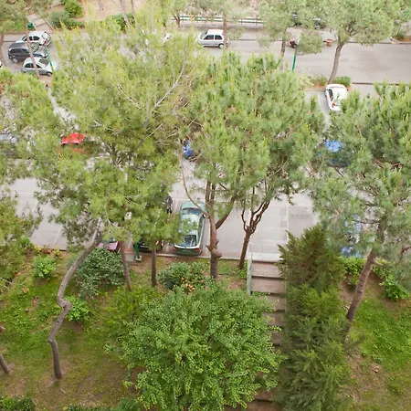 Apartment Rent Vesuvio
