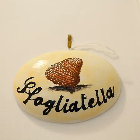 A Festa 3* 나폴리