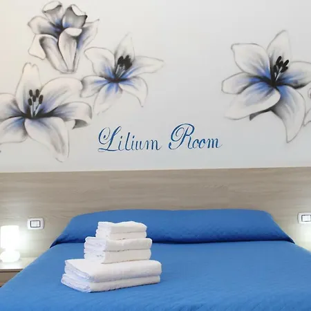 Bed & Breakfast Flower's House Naples