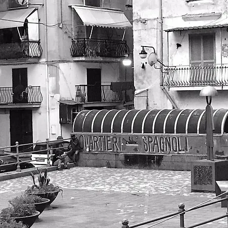Savino's Guest house *