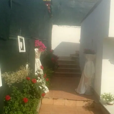 Garden House Airport Apartment *