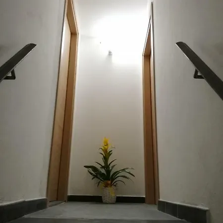 Domus 19 Guest house *