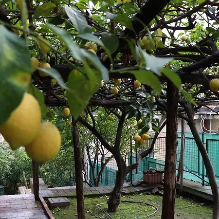 La Roccia Appartamento