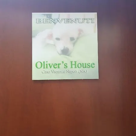 Oliver's House Guest house *