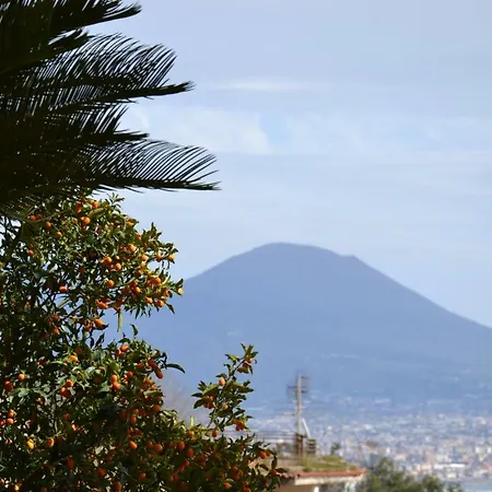 Apartment Casa Del Cedro Naples