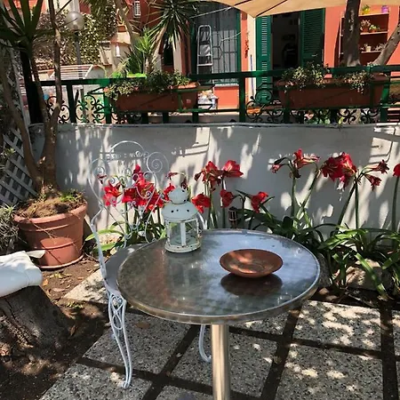 Il Moggio