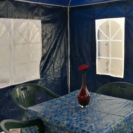 Alexander's House Apartment