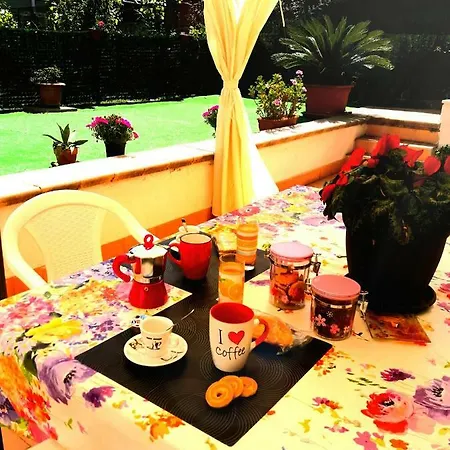 Garden House Airport *