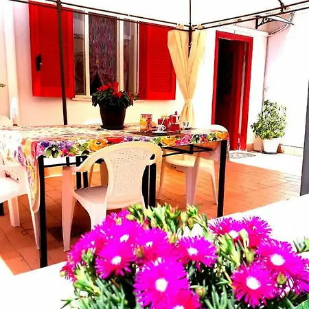 Garden House Airport Apartment *