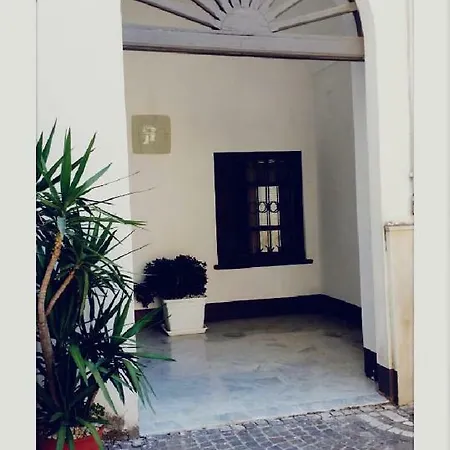 Il Volo Del Gabbiano *