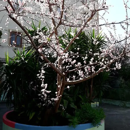 Santa Maria Maddalena Bed & Breakfast *
