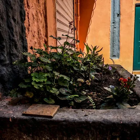 Little House