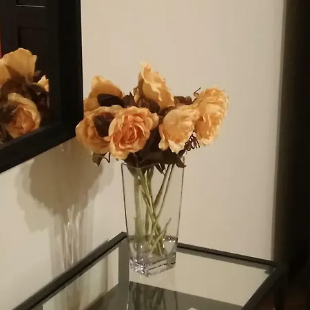 Domus Mea Apartment *