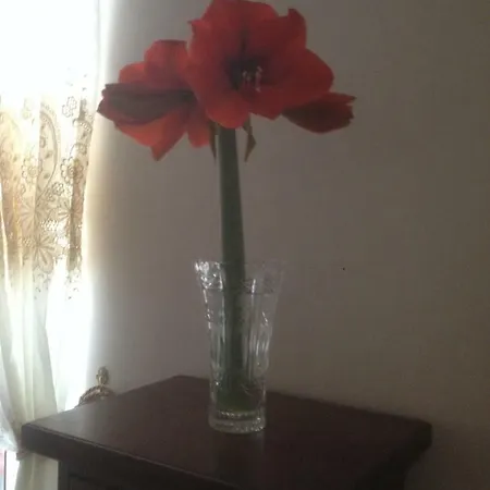Beb Binario39 Nápoly