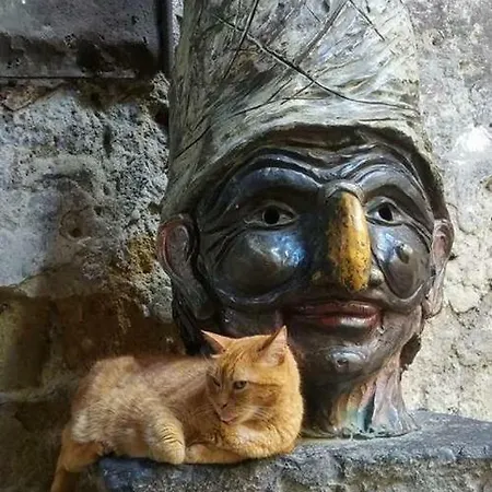 Nonno Ciccio