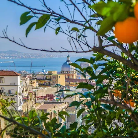Lemon Tree House Appartement *