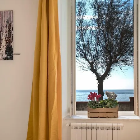 Apartment Accasarte P01
