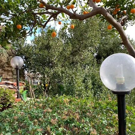 Il Moggio *