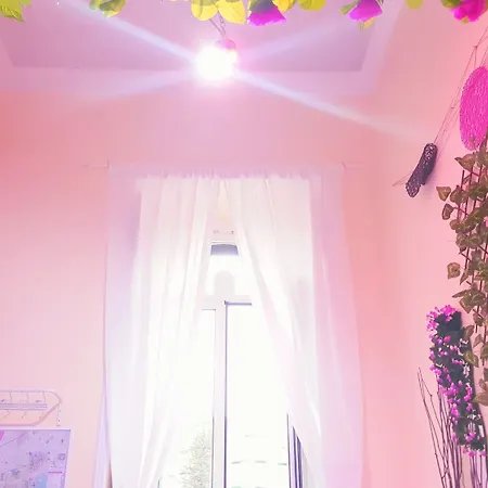 לינה וארוחת בוקר Maison Mari