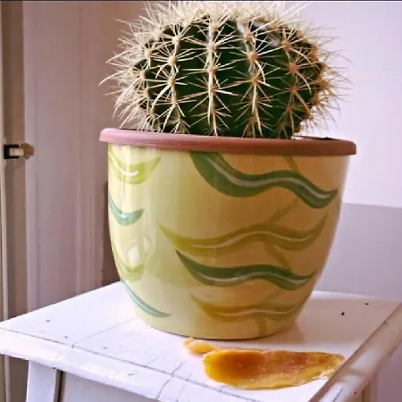 Carafe'&caraspe' Panzió