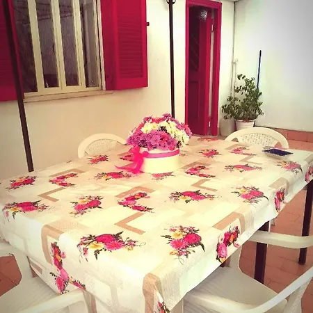 Garden House Airport * Naples