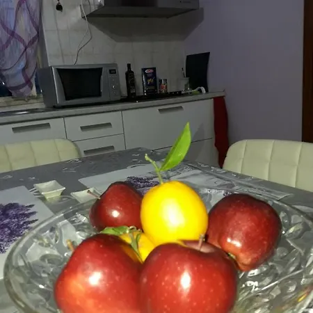 Apartment Garden House Airport