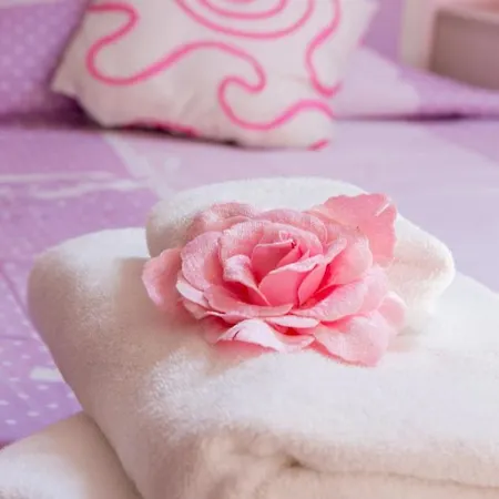 La Mansarda Rosa