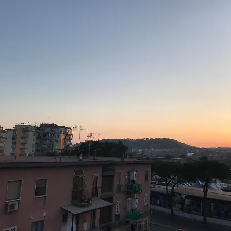 Cassiodoro 8