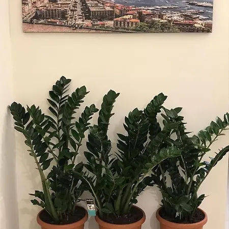 Costa Oda ve Kahvaltı *