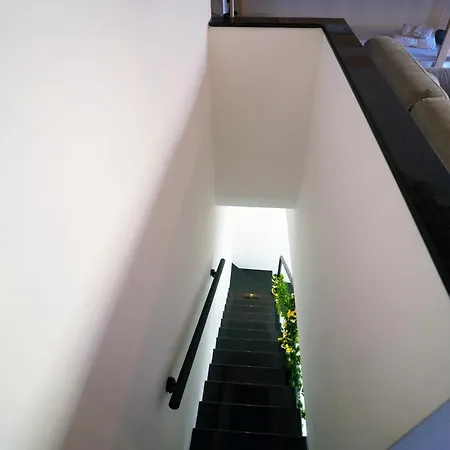 Central Monkey House Apartment Naples