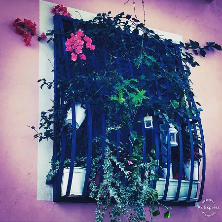 Guest house La Stanzetta Naples