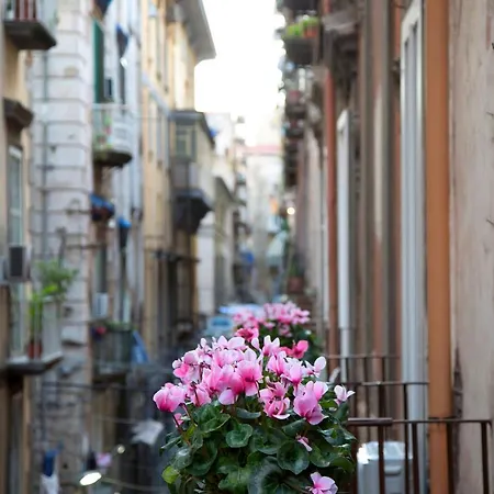 Napoli Time 3*