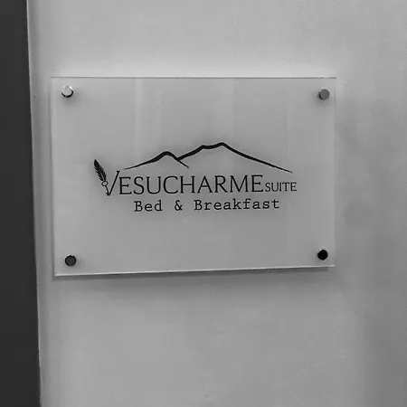 Vesucharme Luxury * Naples