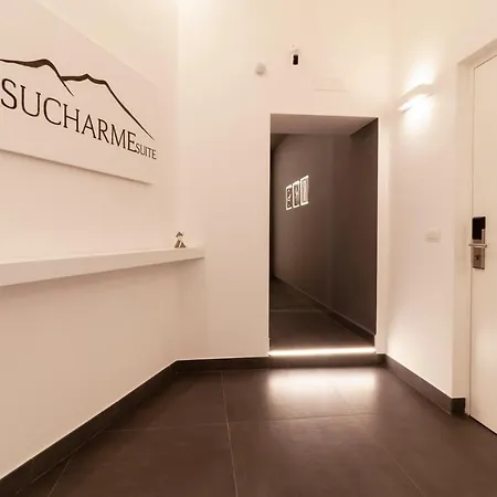 Vesucharme Luxury * Naples