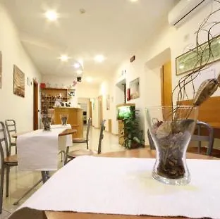 زارا نابولي