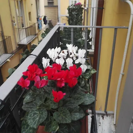 Viky's * Naples