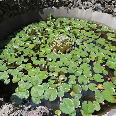 Terrazza Fiorita Nocleg ze śniadaniem Neapol
