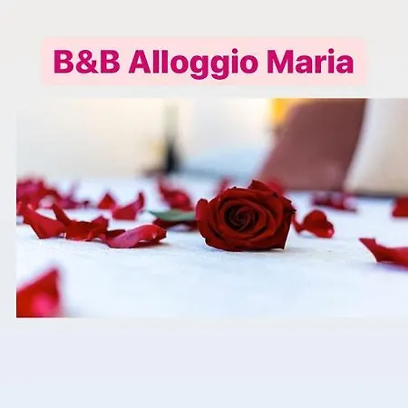 Maria 3*