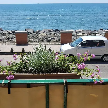 Taromy Naples