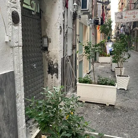 Ciko Naples