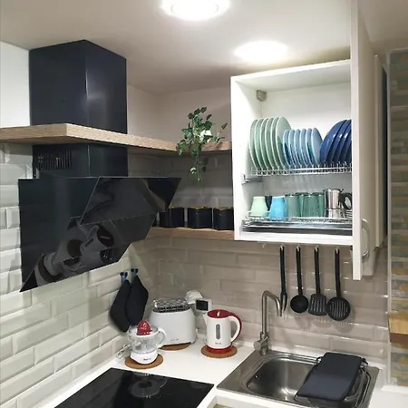 Roots Apartment *